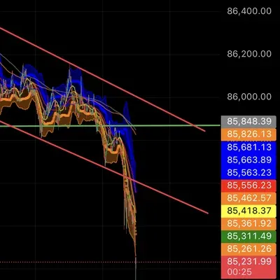 [30일 챌린지 15기 4주차] 911frog 4주차 챌린지