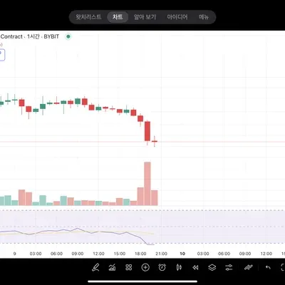 11일차 미션 17기 