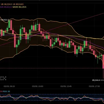 [30일 챌린지 17기 2주차