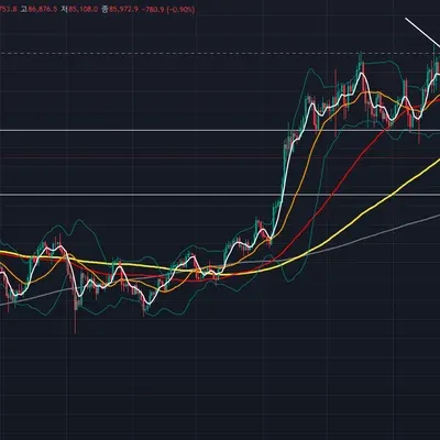 [30일 챌린지 18기 1주차]
