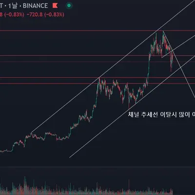 [30일 챌린지 18기 1주차] 비트 일봉 추세선 및 지지선 분석