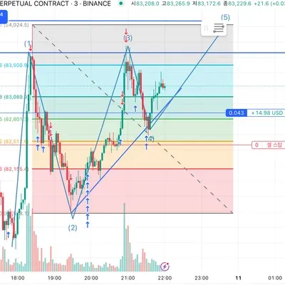 앨리엇 + 피보나치