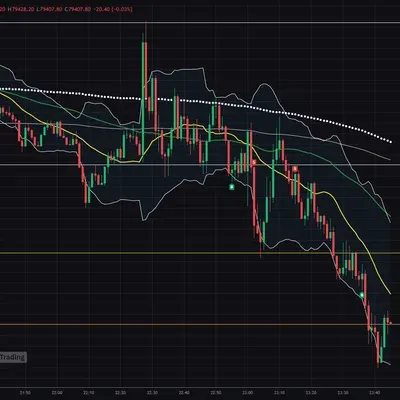[30일 챌린지 16기 4주차]
