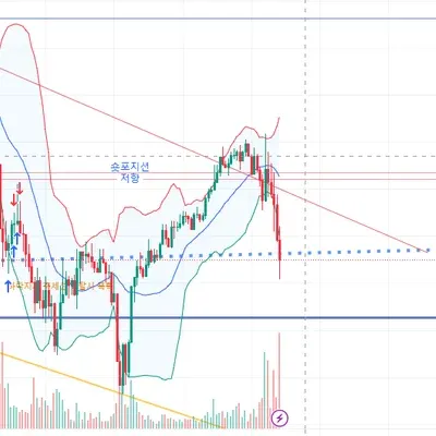  [30일 챌린지 16기 4주차] 타니타니 수익인증