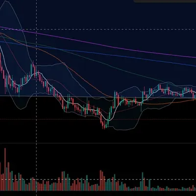 [30일 챌린지 16기 3주차]
