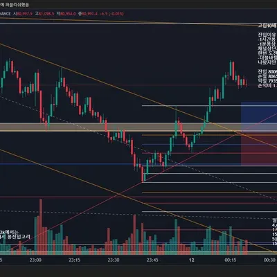 트레이딩 100회 첼린지(1/100) -1패