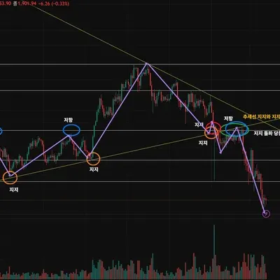 [30일 챌린지 19기 1주차]  지지선과 추세선