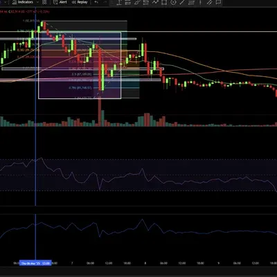 [30일 챌린지 18기 2주차] 
