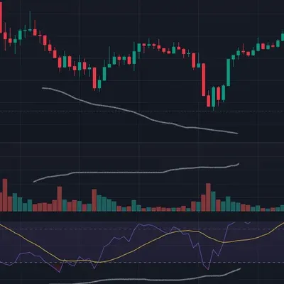 30일 챌린지 18기 2주차