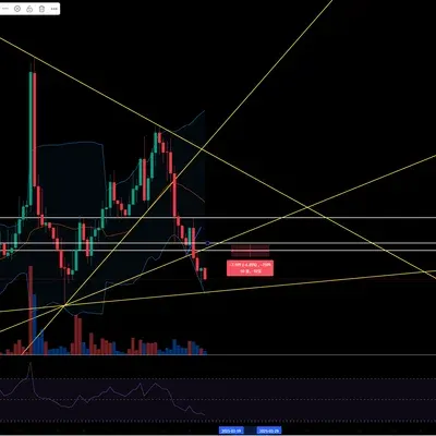[30일 챌린지 16기 4주차] 