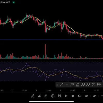 [30일 챌린지 19기 1주차]