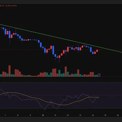 [30일 챌린지 19기 1주차]