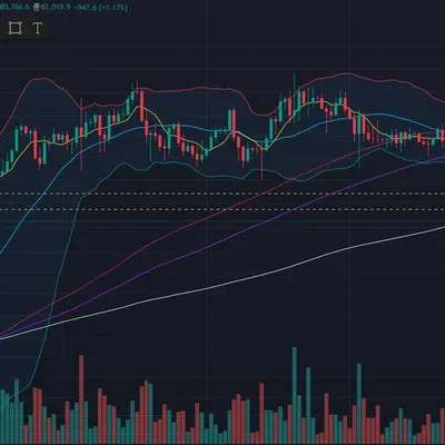 30일 챌린지 18기 2주차