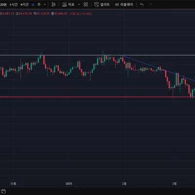 30일 챌린지 19기 1주차
