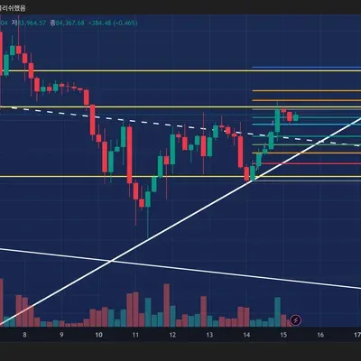 100회 트레이딩 5회