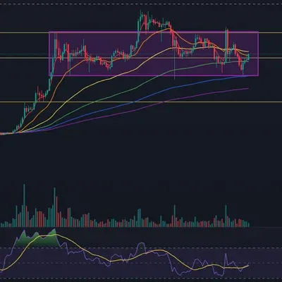 [30일 챌린지 18기 2주차]