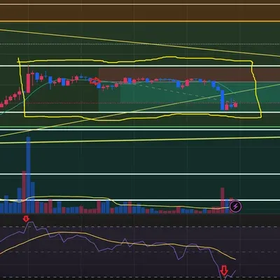 [30일 챌린지 16기 4주차]