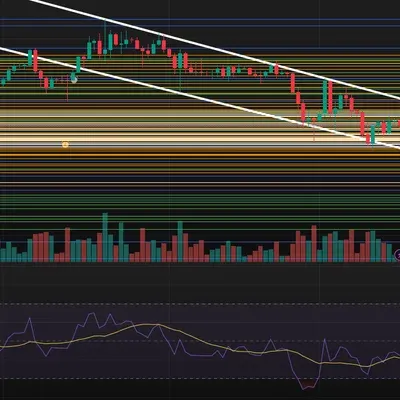 [30일 챌린지 18기 2주차]