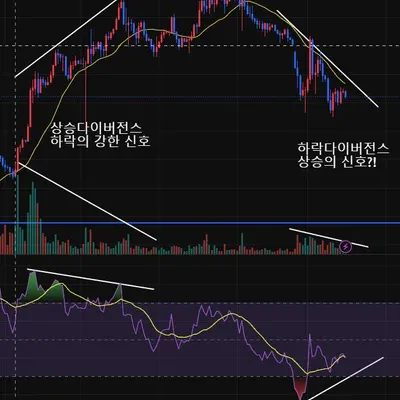 30일 챌린지 18기 2주차