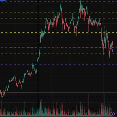 [30일 챌린지 17기 3주차]