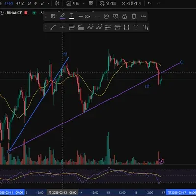 [30일 챌린지 19기 1주차] 비트코인 1시간 봉 추세선 작도