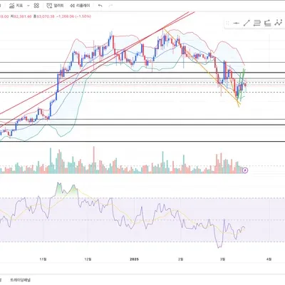 [30일 챌린지 17기 3주차]