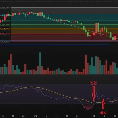 [30일 챌린지 17기 3주차]