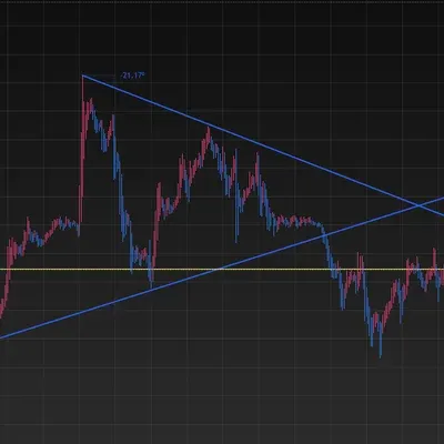 [30일 챌린지 19기 1주차] 작도