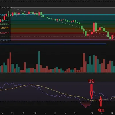 [30일 챌린지 17기 3주차]