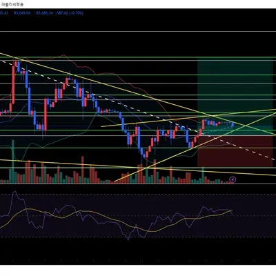 [30일 챌린지 17기 3주차]