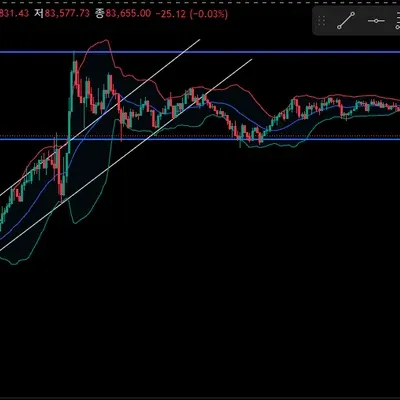 [30일 챌린지 19기 1주차] 지지 저항, 추세선