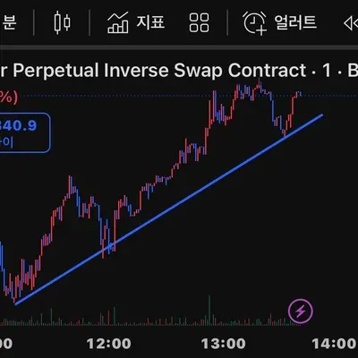 [30일 챌린지 19기 1주차] 트레이딩 뷰 작도