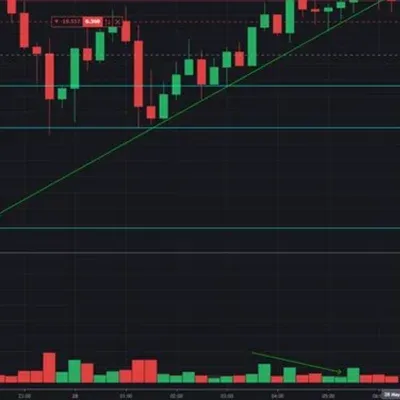 30일 챌린지 19기 1주차