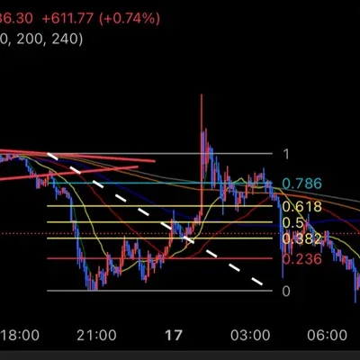 [30일챌린지 16기 4주차]