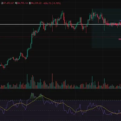 [30일 챌린지 19기 2주차]