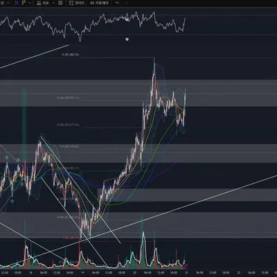 [30일 챌린지 19기 2주차]