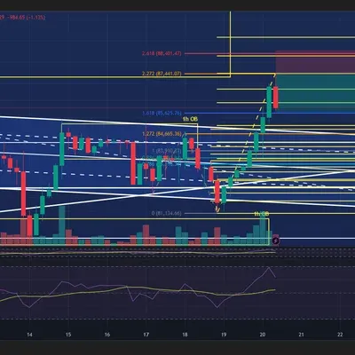 100회 트레이딩 16회