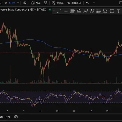 [30일 챌린지 19기 2주차]