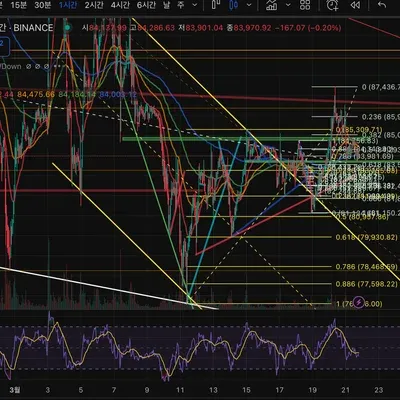 [30일 챌린지 19기 2주차]