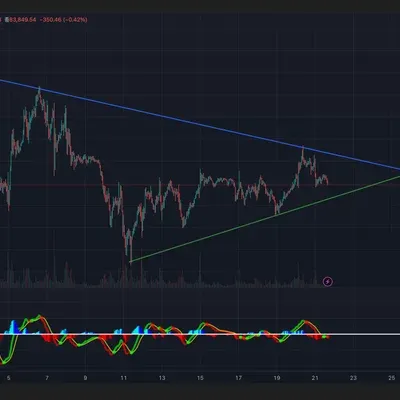 [30일 챌린지 20기 1주차]