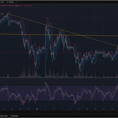 [30일 챌린지 19기 2주차]