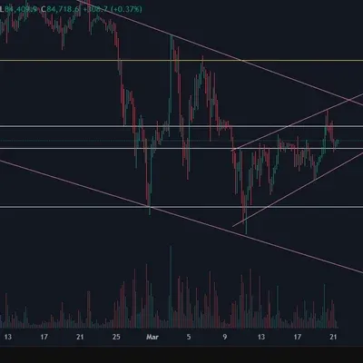 [30일 챌린지 20기 1주차]