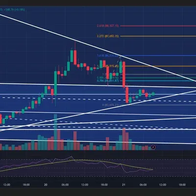 100회 트레이딩 18회