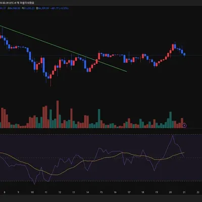 [30일 챌린지 19기 2주차]