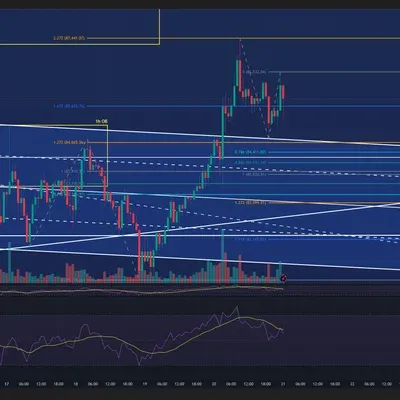100회 트레이딩 17회