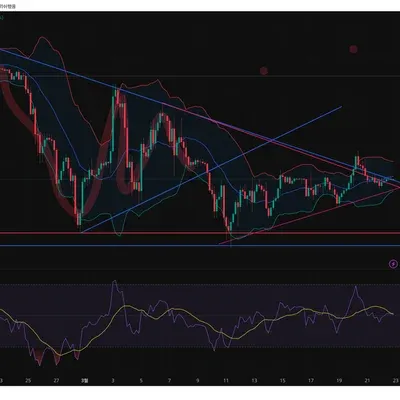 30일 챌린지 19기 2주차