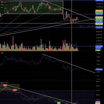 [30일 챌린지 17기 4주차]