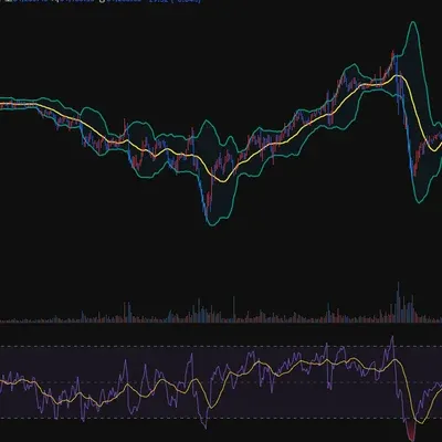  [30일 챌린지 19기 2주차] 