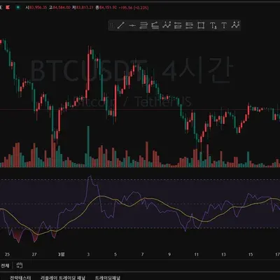30일 챌린지 19기 2주차(RSI 지표추가)