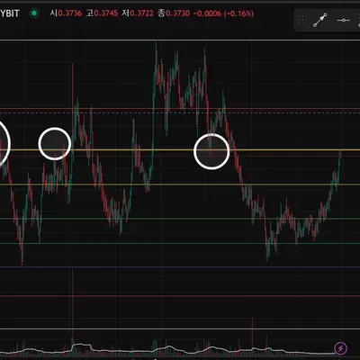 [30일 챌린지 18기 3주차]
